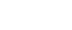 logo.alt